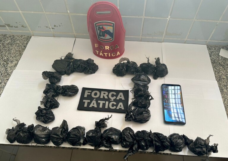 Material apreendido e apresentado na Central de Flagrantes (Foto: Divulgação)
