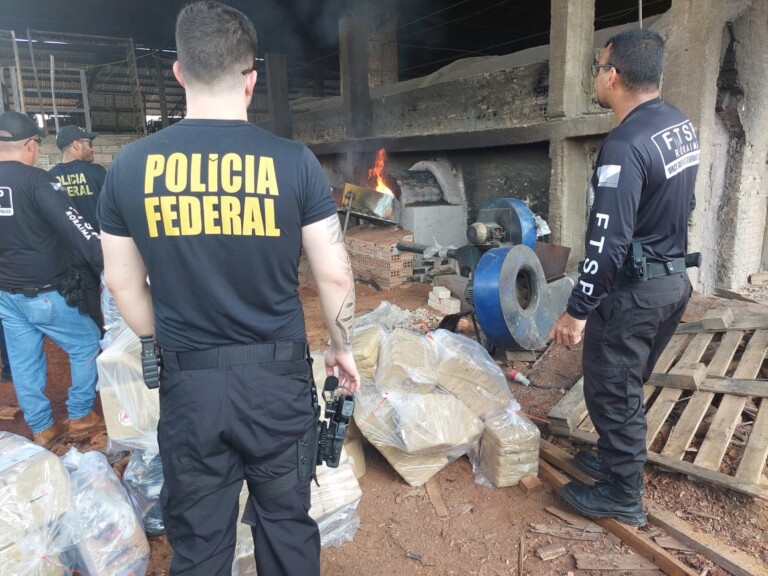Drogas foram incineradas no Distrito Industrial de Boa Vista (Foto: Divulgação/PF)