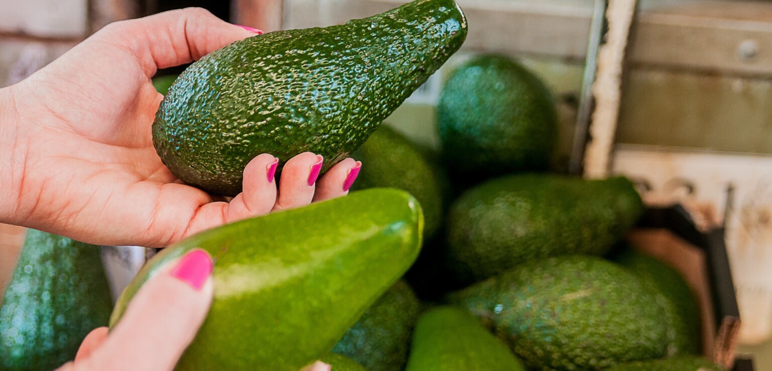 Abacate é um alimento calórico e possui gorduras que ajudam a reduzir o colesterol Abacate é um alimento calórico e possui gorduras que ajudam a reduzir o colesterol