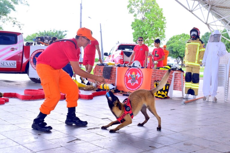 Semana Nacional do Bombeiros tem programação especial em Roraima