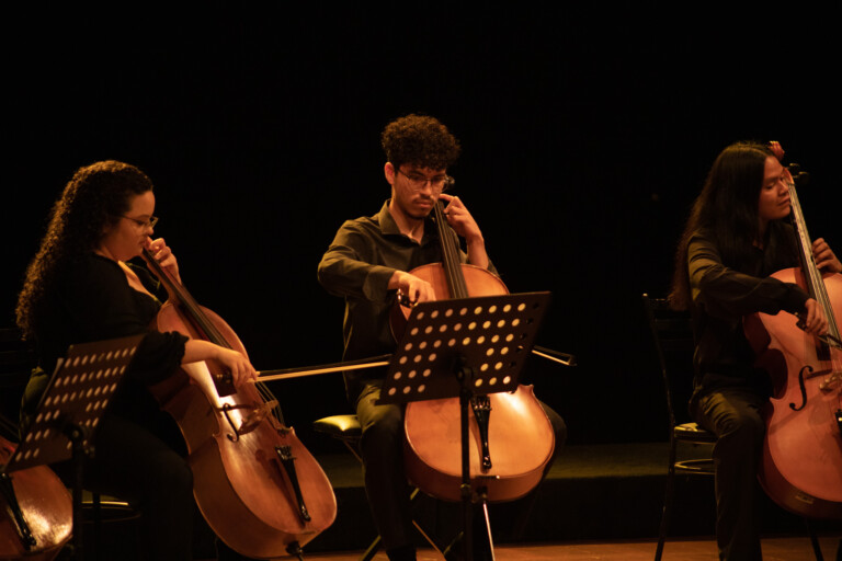 O projeto ofereceu uma variedade de cursos musicais para alunos avançados e intermediários, incluindo aulas de violino, viola, violoncelo, contrabaixo, prática de conjunto, regência e coral 