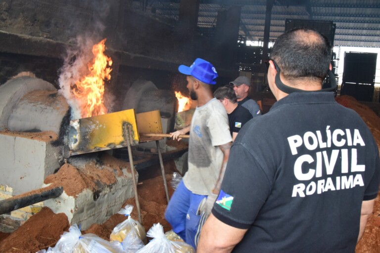 Incineração de drogas feitas pela Polícia Civil (Foto: Nilzete Franco/FolhaBV)