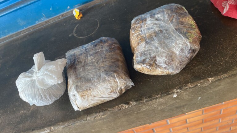 Droga foi apreendida e levada à delegacia (Foto: Divulgação/PMRR)