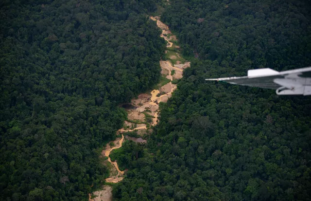As equipes buscam interromper o fluxo logístico do garimpo ilegal na Terra Yanomami (Foto: Divulgação)