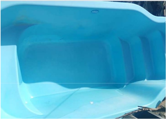 Piscina está entre os itens leiloados (Foto: Divulgação/TRT 11 AM RR)