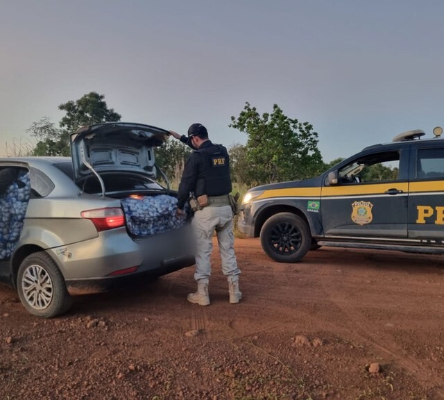 No veículo foram encontrados 111 sacos de alho com 10 kg cada (Foto: Divulgação)
