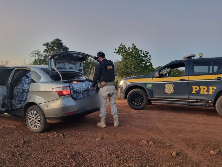 No veículo foram encontrados 111 sacos de alho com 10 kg cada (Foto: Divulgação)