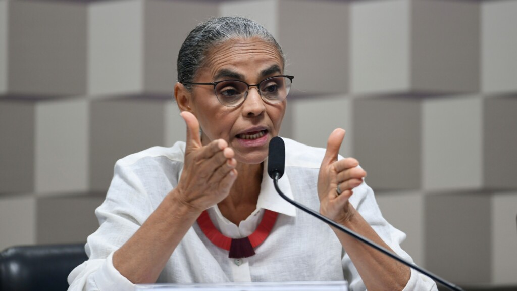 A ministra do Meio Ambiente, Marina Silva, durante audiência pública da Comissão de Meio Ambiente do Senado (Foto: Edilson Rodrigues/Agência Senado)