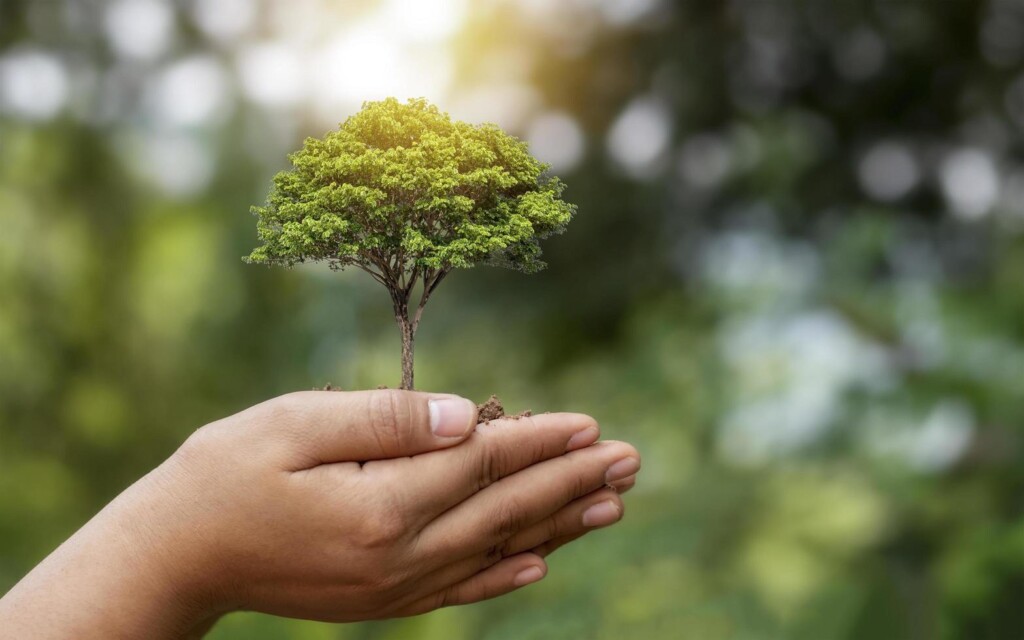 Projetos serão premiados com valores de até R$ 30 mil. Foto: Internet