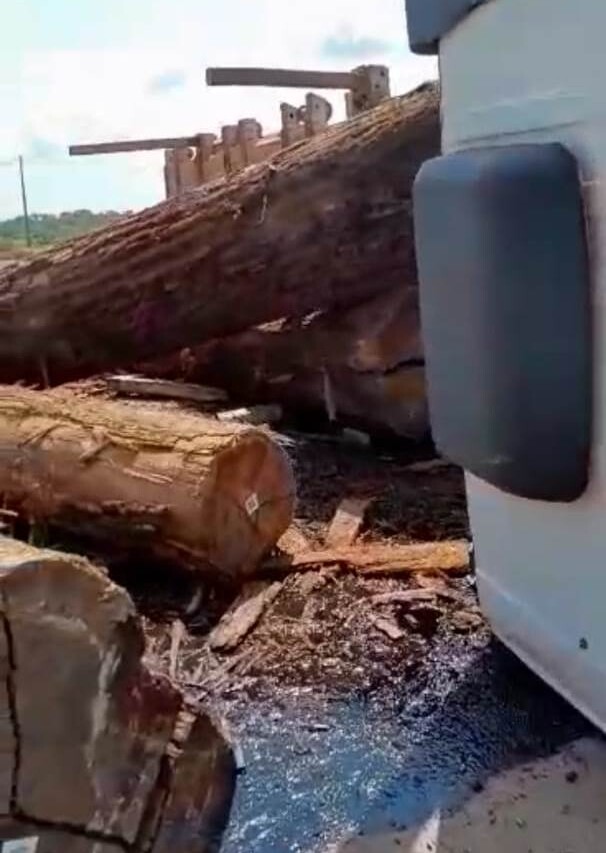 Carga de madeira ficou espalhada (Foto: Reprodução/WhatsApp)