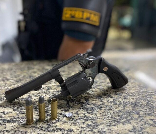 Arma e munições apreendidas (Foto: Divulgação) 