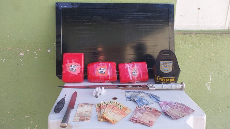 Material apreendido e entregue na Delegacia de Polícia (Foto: Divulgação)