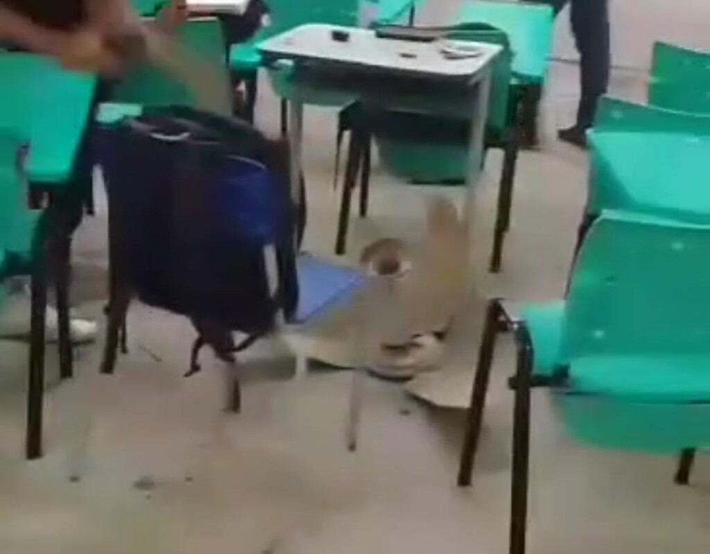 Momento em que o ventilador estava no chão (Foto: Reprodução) 