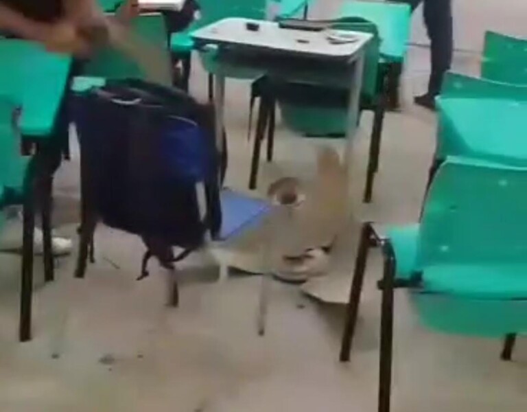 Momento em que o ventilador estava no chão (Foto: Reprodução) 