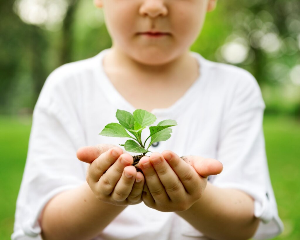 Sebrae em RR abre inscrições de prêmio para escolas que desenvolvem práticas sustentáveis Sebrae em RR abre inscrições de prêmio para escolas que desenvolvem práticas sustentáveis