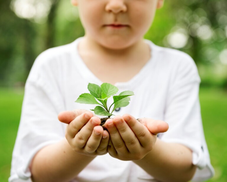 Sebrae em RR abre inscrições de prêmio para escolas que desenvolvem práticas sustentáveis
