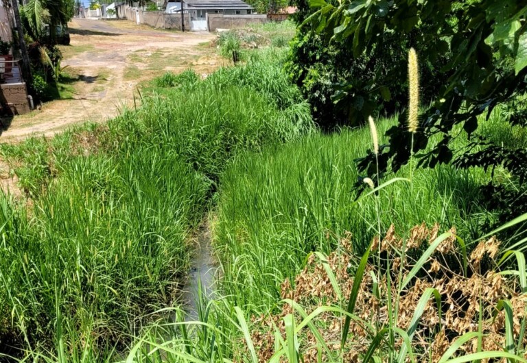 Moradores convivem com mau cheiro gerado por esgoto em igarapé (Foto: Arquivo Pessoal)