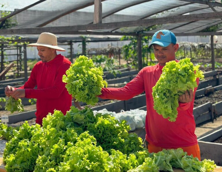 A cada três dias trabalhados, reeducandos têm a redução de uma dia em suas penas (Foto: Secom)