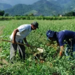 Foto: Reprodução/Internet