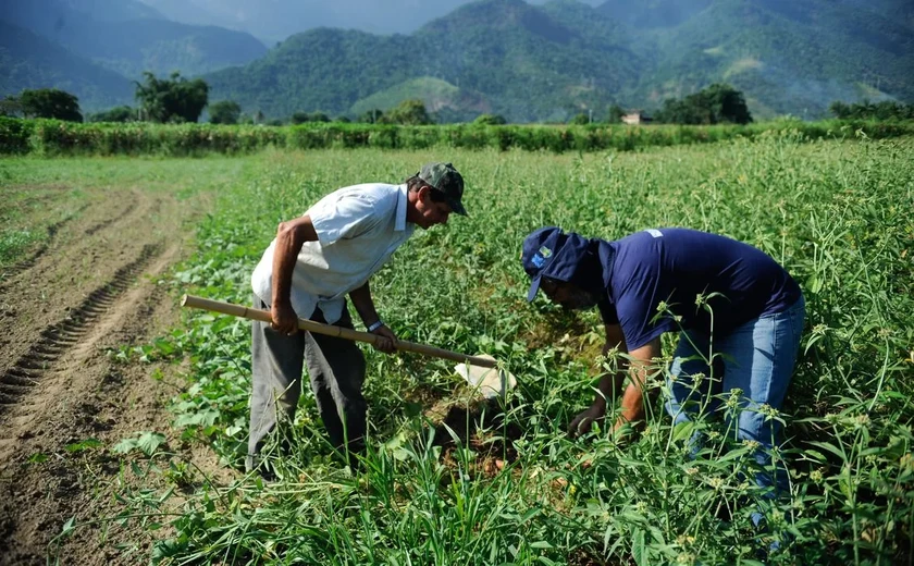 Durante o seminário, serão abordados temas como a base legal do crédito rural, fontes de recursos, títulos de crédito rural, e programas voltados para esse público — Foto: Reprodução/Internet