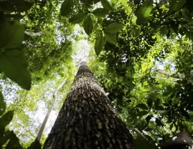 Inscrições para o Inova Amazônia seguem até 10 de setembro
