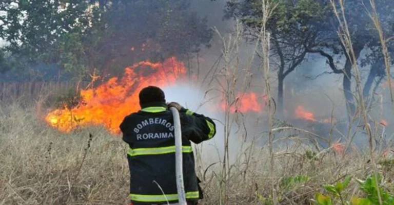 As queimadas no lavrado são recorrentes em Roraima. (Foto: Arquivo FolhaBV)