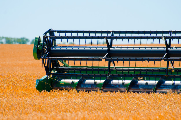Agricultura de RR registra crescimento de 85% no Valor Bruto da Produção Agropecuária