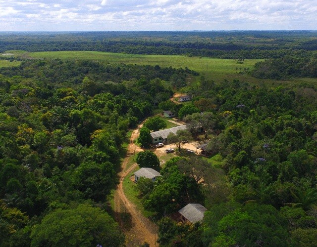 Estação Ecológica Maracá (Foto: Arquivo FolhaBV)