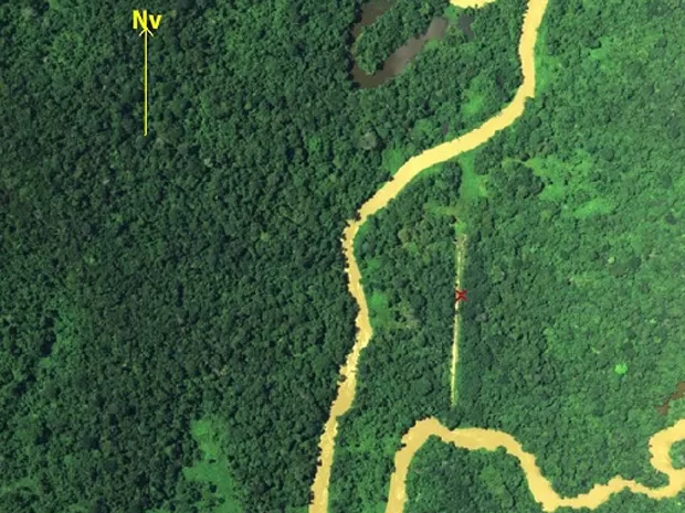 Uma das pistas clandestina que foi aberta no meio da floresta amazônica (Foto: Divulgação)