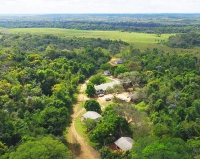 Reserva florestal em Roraima é reclassificada como Floresta Nacional