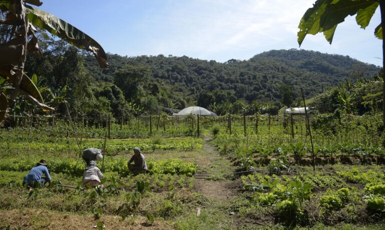 Objetivo é que se tornem agentes de desenvolvimento rural (Tomaz Silva/Agência Brasil)