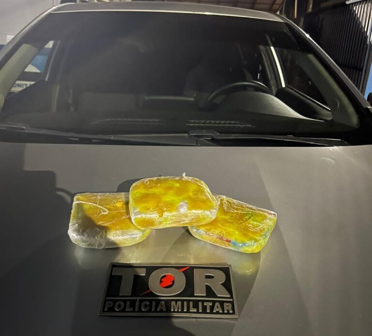 Tabletes de cocaína apreendidos (Foto: Divulgação) 