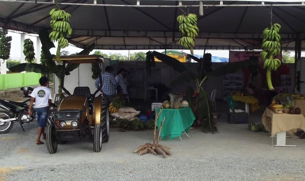 O evento será uma forma de gerar novas oportunidades para o desenvolvimento de soluções no agronegócio — Foto: Reprodução/Internet