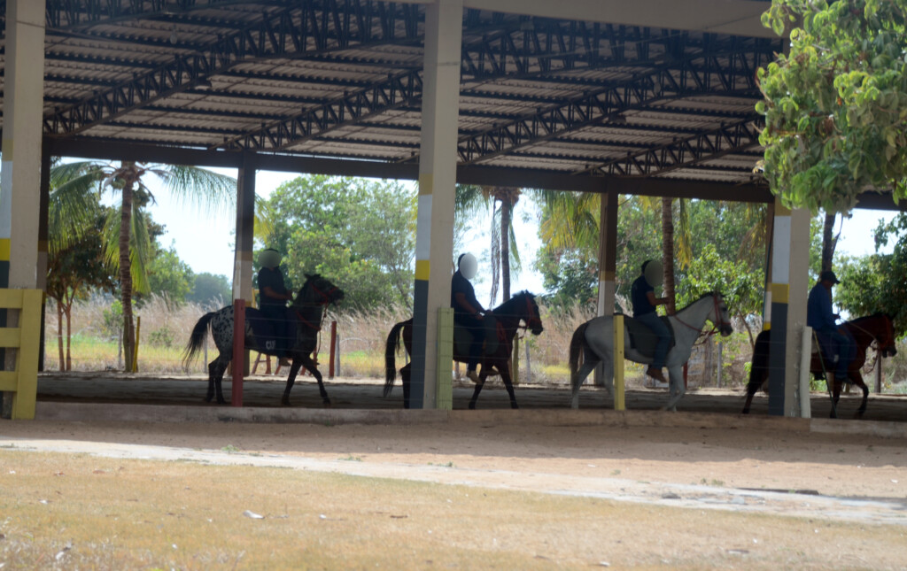 Centro Estadual de Equoterapia, localizado no Parque de Exposições Dandãezinho (Foto: Nilzete Franco/FolhaBV) Centro Estadual de Equoterapia, localizado no Parque de Exposições Dandãezinho (Foto: Nilzete Franco/FolhaBV)