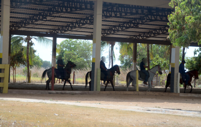 Centro Estadual de Equoterapia, localizado no Parque de Exposições Dandãezinho (Foto: Nilzete Franco/FolhaBV)