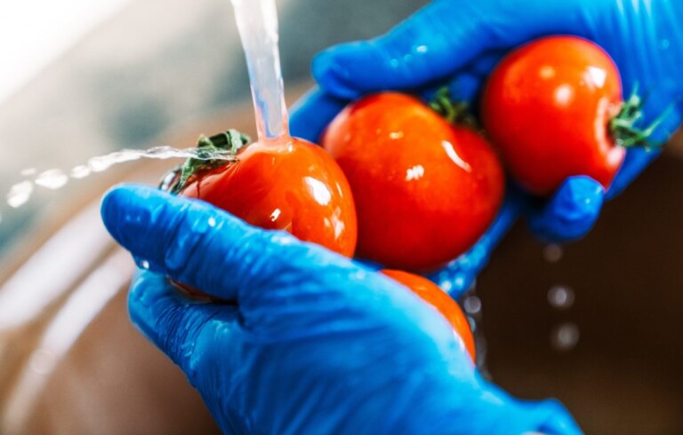 Limpeza correta de alimentos pode te salvar de bactéria. Saiba como: