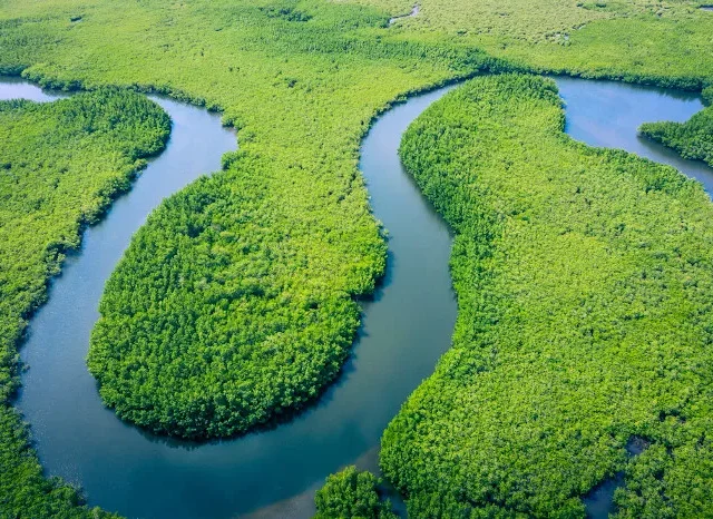 A exploração da Amazônia e o povo ignorado que protege a floresta