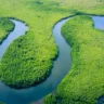 Amazônia (Foto: Divulgação)