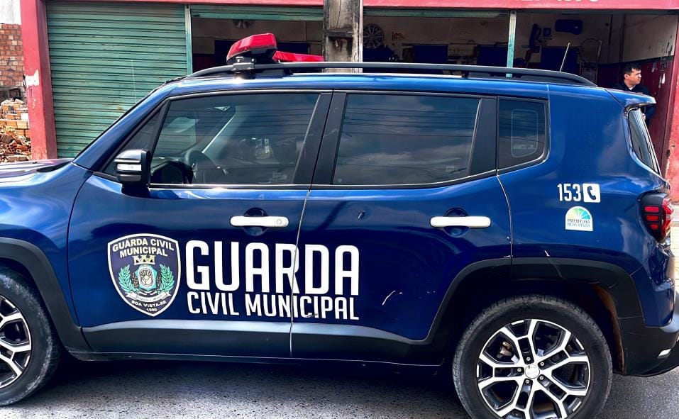 Viatura envolvida no acidente (Foto: Divulgação) 
