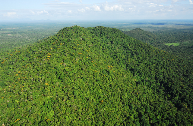 Parque Nacional do Viruá em Caracaraí. (Foto: reprodução/ICMbio) Parque Nacional do Viruá em Caracaraí. (Foto: reprodução/ICMbio)