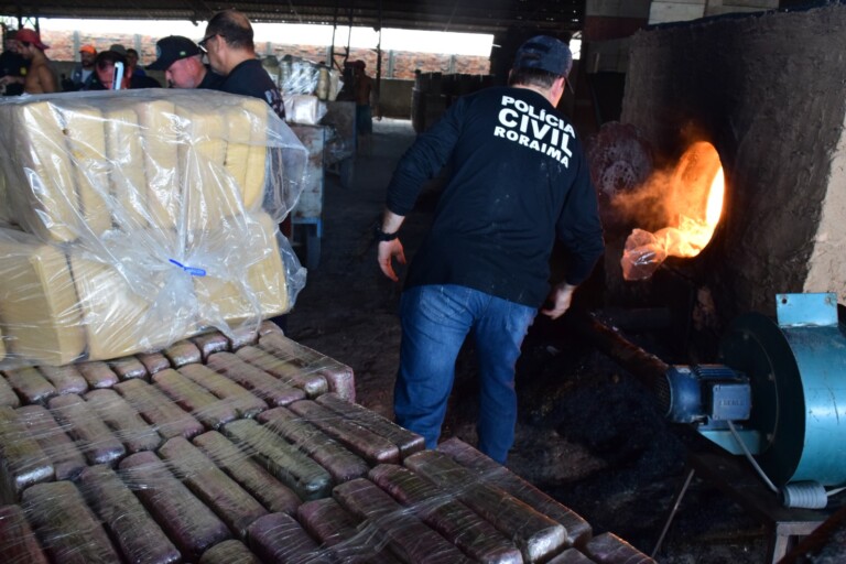 Incineração foi feita nesta quinta-feira (9) (Foto: Nilzete Franco/Folha BV)