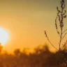 Nas regiões Sul e Centro-Norte, como Caracaraí e Mucajaí, as temperaturas podem chegar a 36°C (Foto: Divulgação)