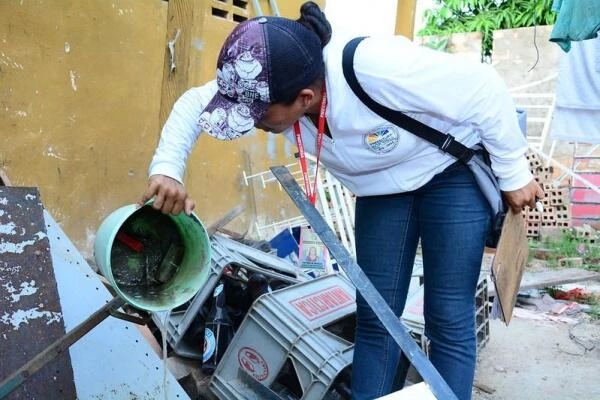 O controle do mosquito Aedes aegypti ainda é o principal método para a prevenção da Dengue