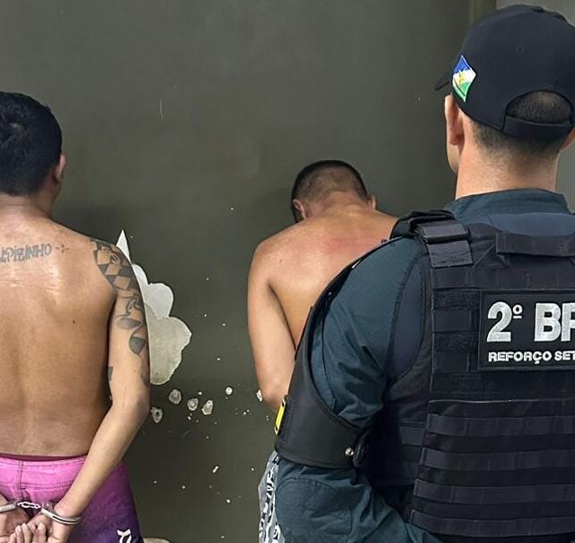 A dupla foi apresentada na Central de Flagrantes (Foto: Divulgação) 