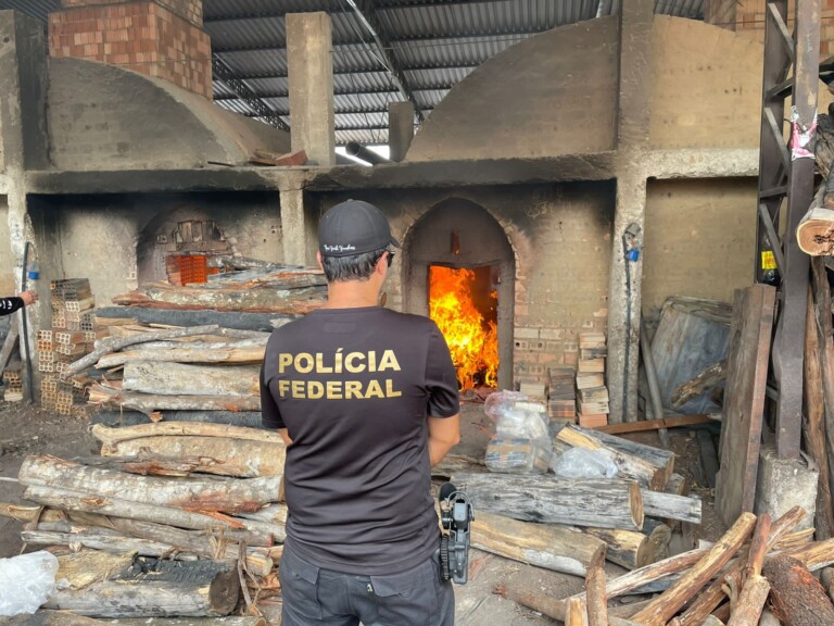 Quase três toneladas de drogas são incineradas em Roraima