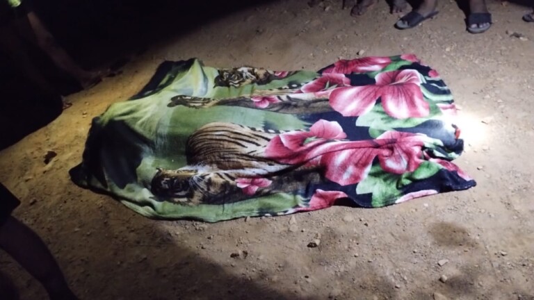 Vítima morreu no local (Foto: Reprodução/Redes Sociais)