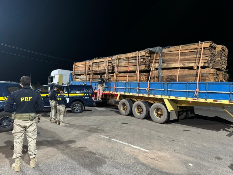 Madeira é apreendida e nove pessoas são detidas em fiscalizações nas rodovias em Roraima