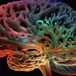 Estudo revela como o modo de vida tradicional protege o cérebro e o coração