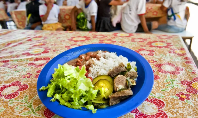 A alimentação escolar é direito dos alunos da educação básica pública e dever do Estado e tem como base o direito humano à alimentação adequada e saudável (Foto: Sergio Amaral)