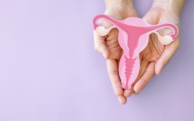 Tumor é a quarta causa de morte por câncer entre as mulheres do Brasil (Foto: Reprodução/Internet)